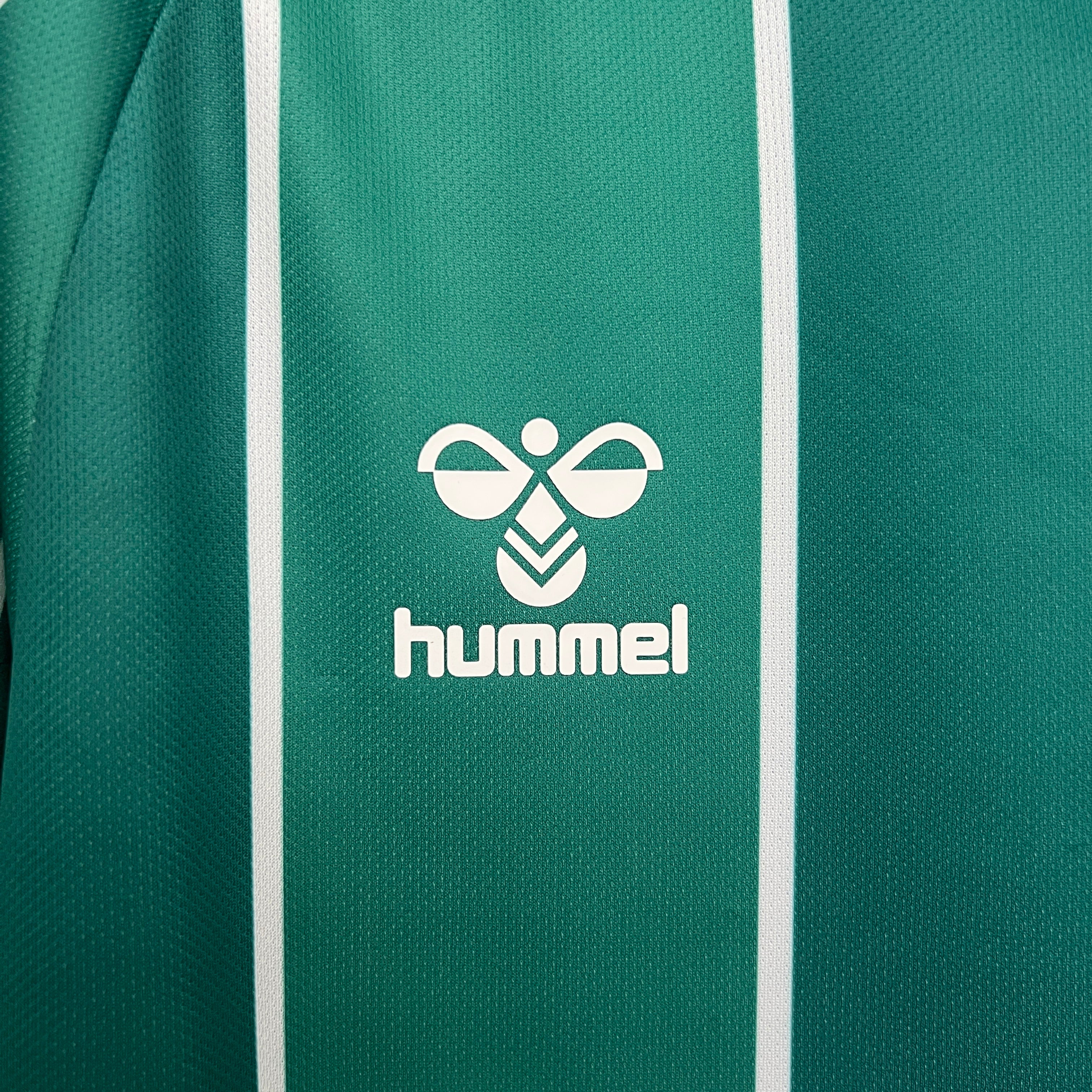 Camisa Werder Bremen Home 25/26 - Torcedor Masculina