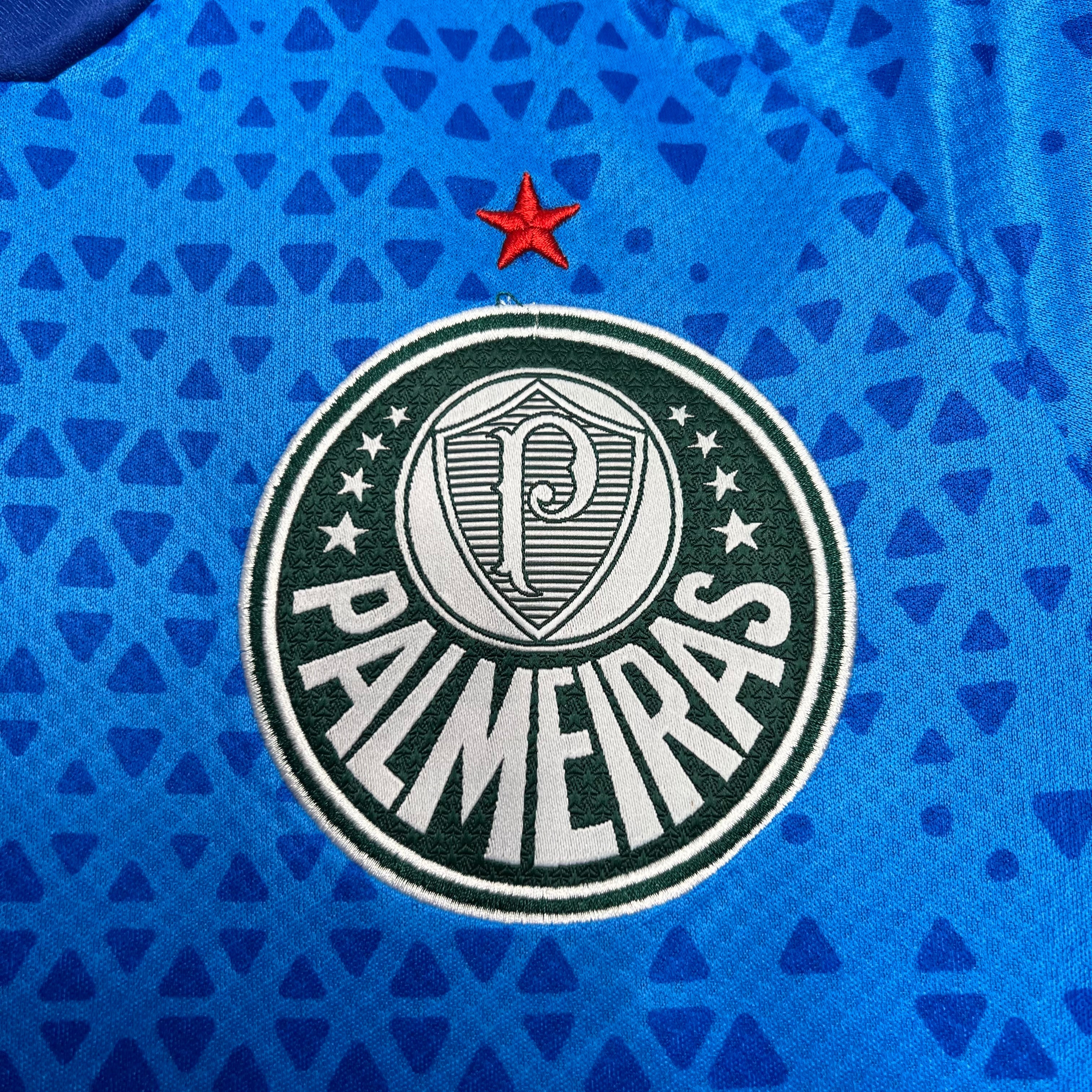 Camisa Palmeiras Goleiro Puma 24/25 - Versão Torcedor